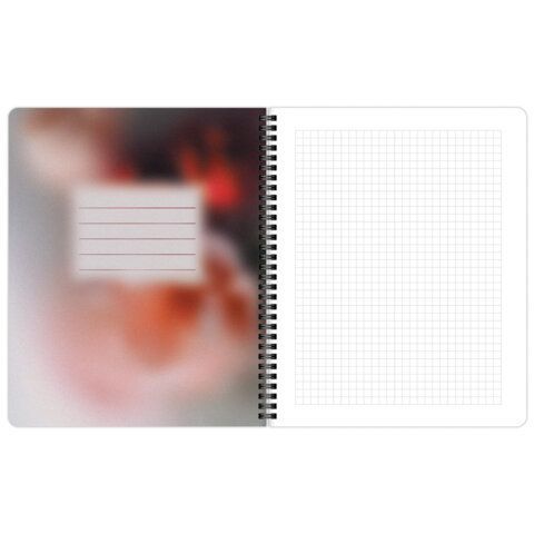 Тетради ДЭК А5 48 л. КОМПЛЕКТ 4 шт., BRAUBERG, гребень, клетка, 80 г/м2, SoftTouch, Aesthetics, 405580