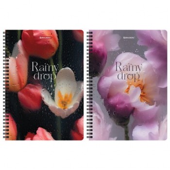 Тетради ДЭК А4 96 л. КОМПЛЕКТ 2 шт., BRAUBERG, гребень, клетка, 80 г/м2, SoftTouch, "Aesthetics", 405586