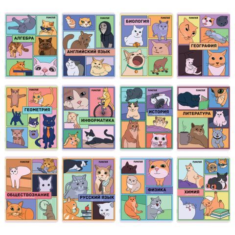 Тетради предметные, КОМПЛЕКТ 12 ПРЕДМЕТОВ, 48л, TWIN лак, FUNSTER, МЕМНЫЕ КОТЫ, 405604