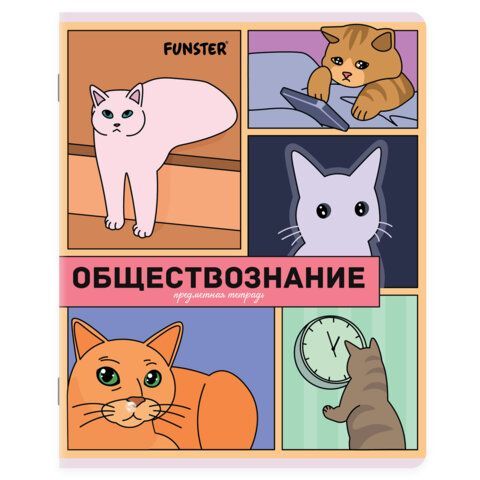 Тетради предметные, КОМПЛЕКТ 12 ПРЕДМЕТОВ, 48л, TWIN лак, FUNSTER, МЕМНЫЕ КОТЫ, 405604