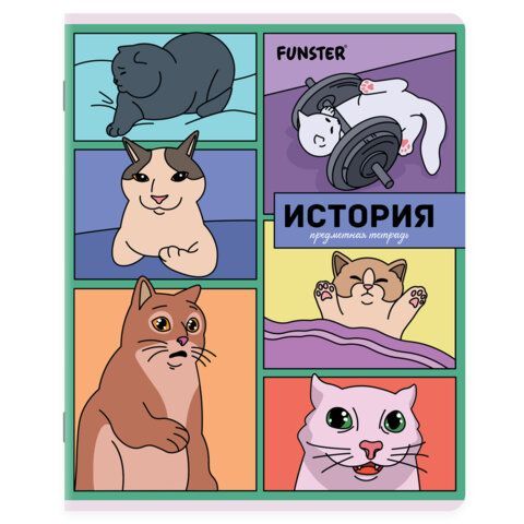 Тетради предметные, КОМПЛЕКТ 12 ПРЕДМЕТОВ, 48л, TWIN лак, FUNSTER, МЕМНЫЕ КОТЫ, 405604