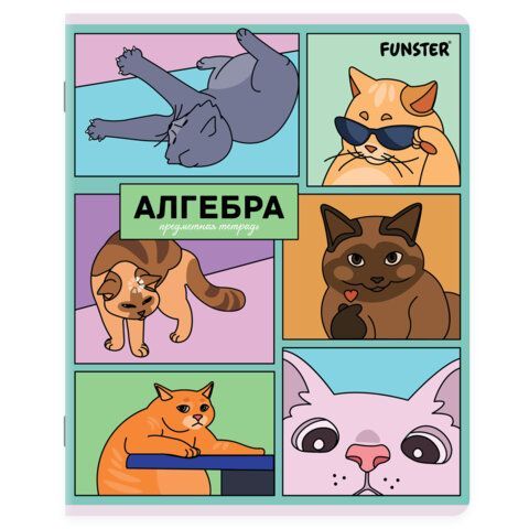 Тетради предметные, КОМПЛЕКТ 12 ПРЕДМЕТОВ, 48л, TWIN лак, FUNSTER, МЕМНЫЕ КОТЫ, 405604