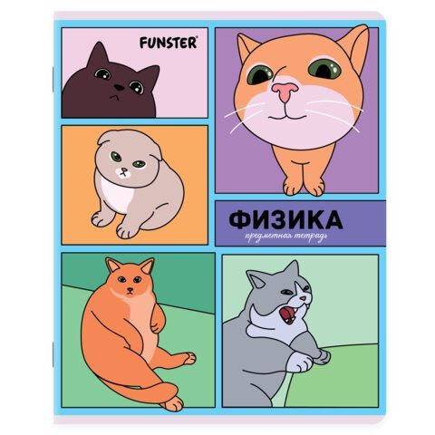 Тетради предметные, КОМПЛЕКТ 12 ПРЕДМЕТОВ, 48л, TWIN лак, FUNSTER, МЕМНЫЕ КОТЫ, 405604