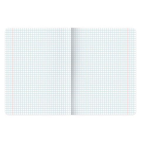 Тетради предметные, КОМПЛЕКТ 12 ПРЕДМЕТОВ, 48л, матовая ламинация, BRAUBERG, ПРИРОДА, 405606