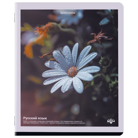 Тетради предметные, КОМПЛЕКТ 12 ПРЕДМЕТОВ, 48л, матовая ламинация, BRAUBERG, ПРИРОДА, 405606