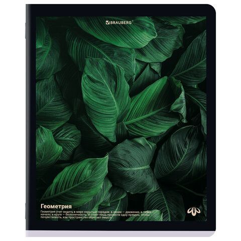 Тетради предметные, КОМПЛЕКТ 12 ПРЕДМЕТОВ, 48л, матовая ламинация, BRAUBERG, ПРИРОДА, 405606