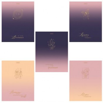 Тетрадь А5 48л. HATBER 20 шт. скоба, клетка, матовая ламинация, 3D фольга, Золотые моменты (, 48Т5лофВ1