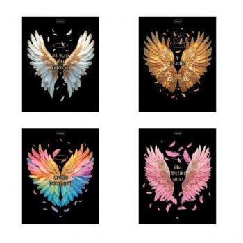 Тетрадь А5 48л. HATBER 20 шт. скоба, клетка, матовая ламинация, 3D фольга, Крылья ангела (ми, 48Т5лофВ1