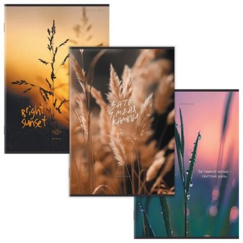 Тетрадь А4 80 л. STAFF 15 шт. College скоба, клетка, офсет №2 ЭКОНОМ, обложка картон, ПРИРОДА, 405617