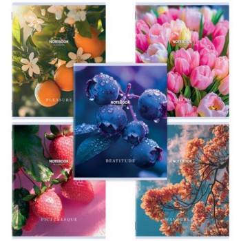 Тетрадь А5, 48 л., STAFF 40 шт., скоба, клетка, офсет №2 ЭКОНОМ, обложка картон, ФЛОРА, 405626