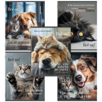 Тетрадь А5, 48 л., STAFF 40 шт., скоба, клетка, офсет №2 ЭКОНОМ, обложка картон, КОТЫ_АССОРТИ, 405627