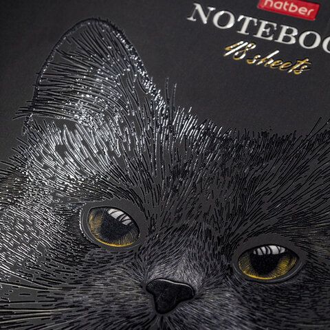 Тетрадь А5 48л. HATBER 20 шт. скоба, клетка, матовая ламинация, 3D лак, Black Cat (микс в сп, 48Т5лолВ1