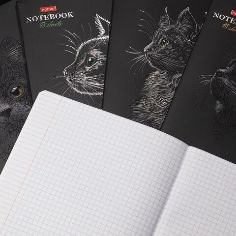 Тетрадь А5 48л. HATBER 20 шт. скоба, клетка, матовая ламинация, 3D лак, Black Cat (микс в сп, 48Т5лолВ1