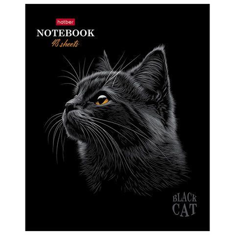 Тетрадь А5 48л. HATBER 20 шт. скоба, клетка, матовая ламинация, 3D лак, Black Cat (микс в сп, 48Т5лолВ1