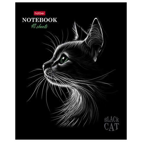 Тетрадь А5 48л. HATBER 20 шт. скоба, клетка, матовая ламинация, 3D лак, Black Cat (микс в сп, 48Т5лолВ1