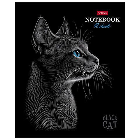 Тетрадь А5 48л. HATBER 20 шт. скоба, клетка, матовая ламинация, 3D лак, Black Cat (микс в сп, 48Т5лолВ1