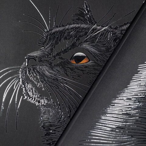 Тетрадь А5 48л. HATBER 20 шт. скоба, клетка, матовая ламинация, 3D лак, Black Cat (микс в сп, 48Т5лолВ1