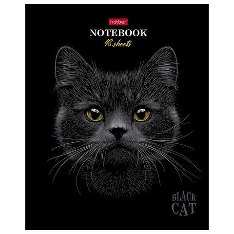 Тетрадь А5 48л. HATBER 20 шт. скоба, клетка, матовая ламинация, 3D лак, Black Cat (микс в сп, 48Т5лолВ1