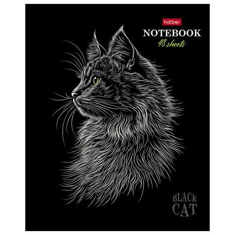 Тетрадь А5 48л. HATBER 20 шт. скоба, клетка, матовая ламинация, 3D лак, Black Cat (микс в сп, 48Т5лолВ1