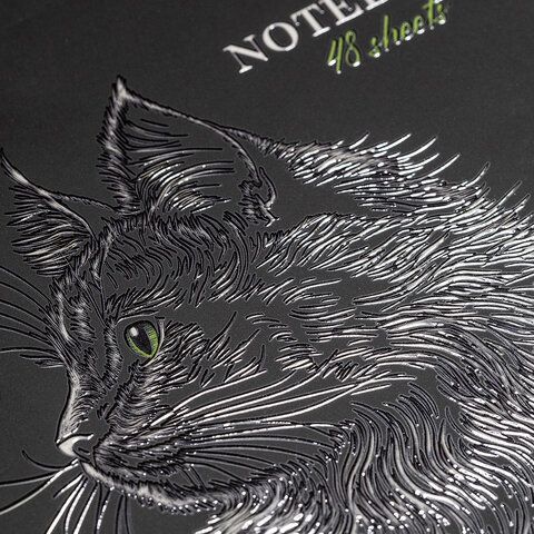 Тетрадь А5 48л. HATBER 20 шт. скоба, клетка, матовая ламинация, 3D лак, Black Cat (микс в сп, 48Т5лолВ1