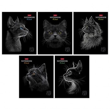 Тетрадь А5 48л. HATBER 20 шт. скоба, клетка, матовая ламинация, 3D лак, Black Cat (микс в сп, 48Т5лолВ1
