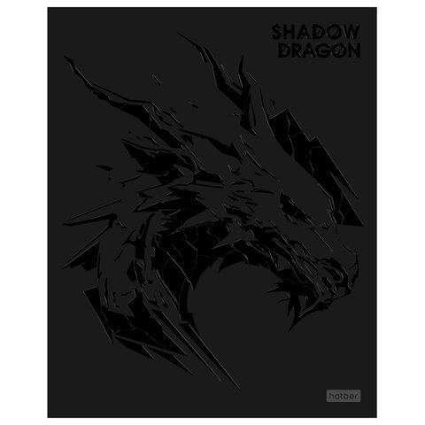 Тетрадь А5 48л. HATBER 20 шт. скоба, клетка, матовая ламинация, 3D лак, Shadow (микс в спайк, 48Т5лолВ1