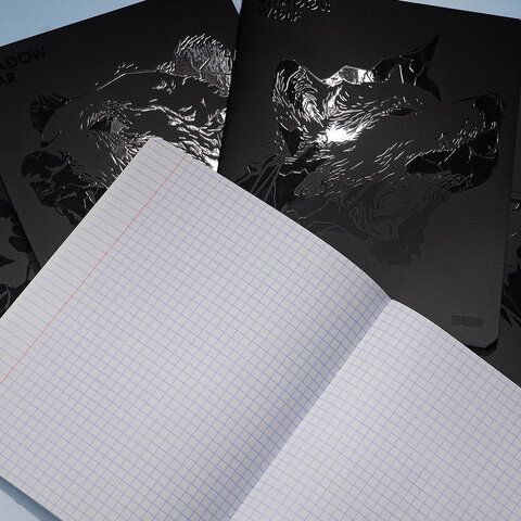 Тетрадь А5 48л. HATBER 20 шт. скоба, клетка, матовая ламинация, 3D лак, Shadow (микс в спайк, 48Т5лолВ1
