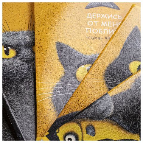 Тетрадь А5 48л. HATBER 25 шт. скоба, клетка, рельефный картон, Пушистый философ (микс в ПУ),, 48Т5тВ1
