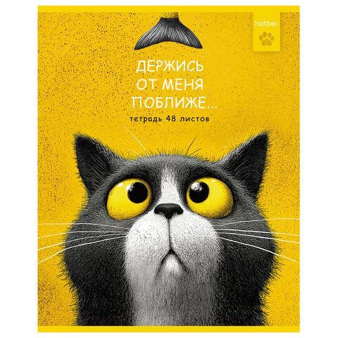 Тетрадь А5 48л. HATBER 25 шт. скоба, клетка, рельефный картон, Пушистый философ (микс в ПУ),, 48Т5тВ1