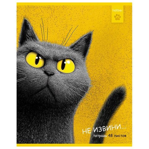 Тетрадь А5 48л. HATBER 25 шт. скоба, клетка, рельефный картон, Пушистый философ (микс в ПУ),, 48Т5тВ1