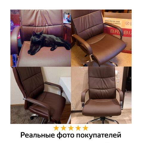 Кресло офисное BRABIX &quot;Space EX-508&quot;, экокожа, хром, коричневое, 531164