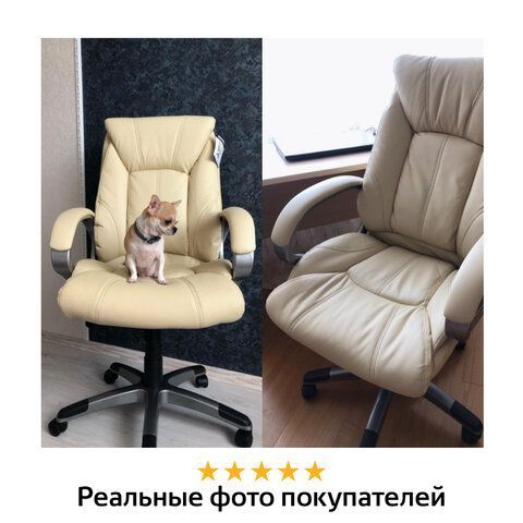 Кресло офисное BRABIX &quot;Maestro EX-506&quot;, экокожа, бежевое, 531168