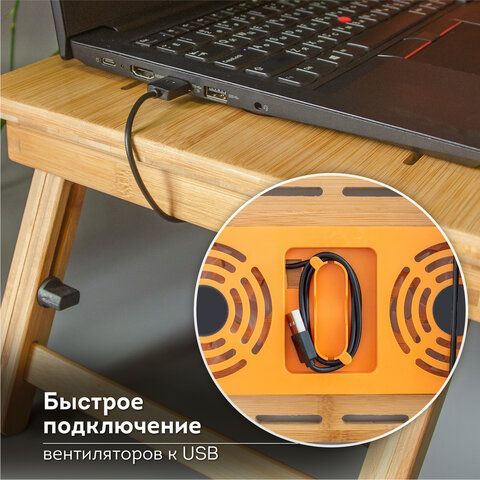 Столик БАМБУКОВЫЙ складной для ноутбука/завтрака (50х30х25 см), с охлаждением, DASWERK, 532583