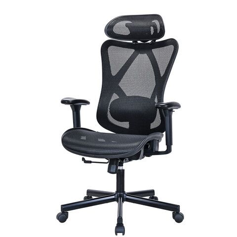 Кресло BRABIX PREMIUM &quot;Axion ER-701&quot;, синхромеханизм, регулируемые подголовник и спинка, сетка, черное, 532965