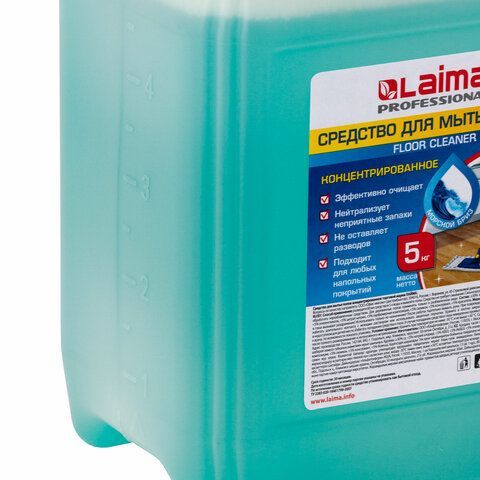Средство для мытья пола 5 кг, LAIMA PROFESSIONAL концентрат, &quot;Морской бриз&quot;, 602296