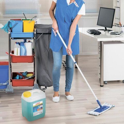 Средство для мытья пола 5 кг, LAIMA PROFESSIONAL концентрат, &quot;Морской бриз&quot;, 602296