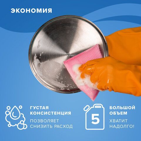 Средство для мытья посуды 5 л, LAIMA PROFESSIONAL концентрат, &quot;Алоэ Вера&quot;, 602298