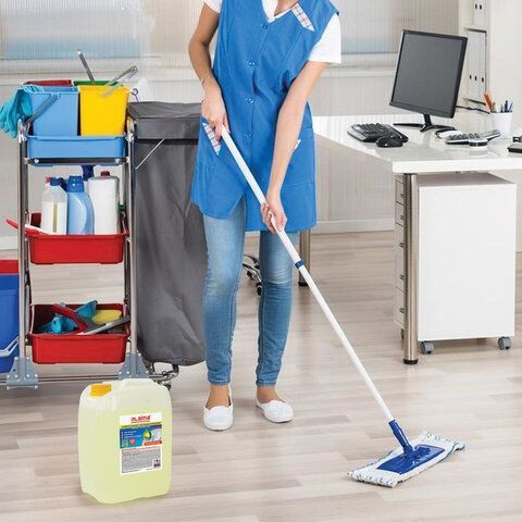 Чистящее средство 5 кг, LAIMA PROFESSIONAL &quot;Лимон&quot;, дезинфицирующий и отбеливающий эффект, 602302