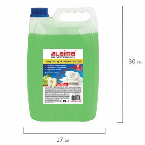 Средство для мытья посуды 5 л, LAIMA PROFESSIONAL, концентрат, &quot;Яблоко&quot;, 604651