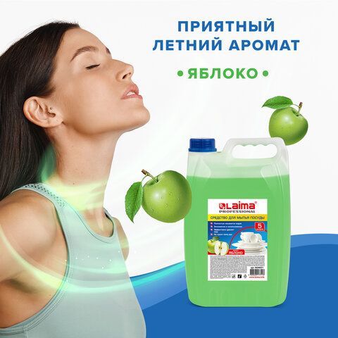 Средство для мытья посуды 5 л, LAIMA PROFESSIONAL, концентрат, &quot;Яблоко&quot;, 604651