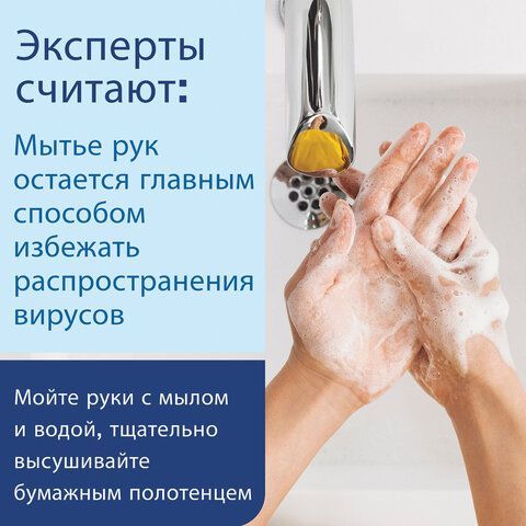 Дозатор для жидкого мыла LAIMA, НАЛИВНОЙ, 0,48 л, хром, ABS-пластик, 605053