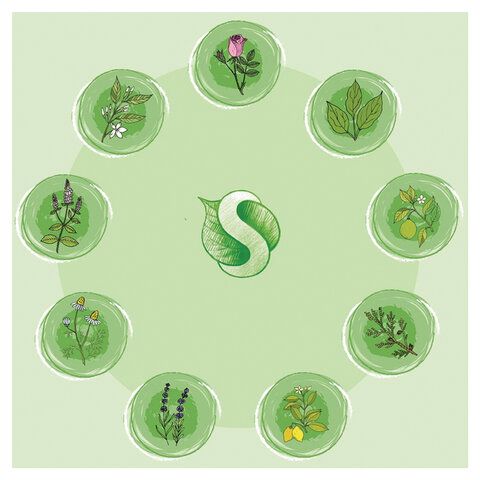 Средство для мытья пола и поверхностей 1 л SYNERGETIC, c дезинфицирующим эффектом, биоразлагаемое, 101100