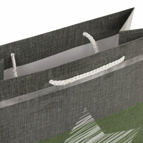 Пакет подарочный (1 штука) 26x13x32 см, ЗОЛОТАЯ СКАЗКА 12 шт. &quot;Звезда&quot;, ламинированный, 606588