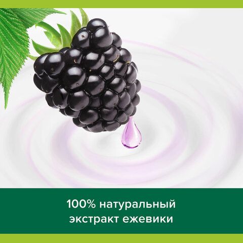 Гель для душа 250 мл, PALMOLIVE ГУРМЭ СПА &quot;Ежевичный мусс&quot;, 8718951180369