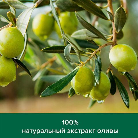 Гель для душа 750 мл, PALMOLIVE НАТУРЭЛЬ &quot;Олива&quot;, интенсивное увлажнение, 8850006534182