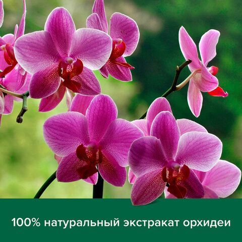 Гель для душа 750 мл, PALMOLIVE НАТУРЭЛЬ &quot;Черная орхидея с увлажняющим молочком&quot;, 8693495035972