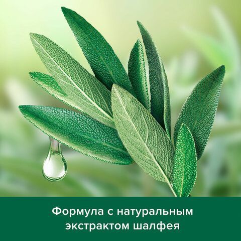 Шампунь мужской 450 мл PALMOLIVE НАТУРЭЛЬ &quot;Экстракт шалфея&quot;, против перхоти, 8718951556577