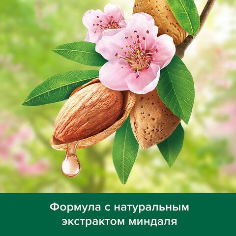 Шампунь 450 мл PALMOLIVE НАТУРЭЛЬ &quot;Миндаль&quot;, для сухих, поврежденных волос, 8718951556362