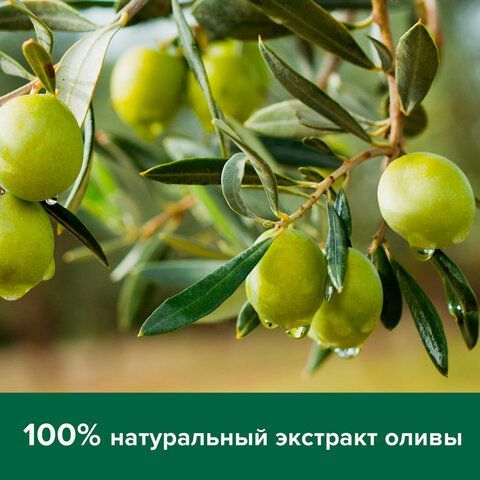 Мыло жидкое 650 мл, PALMOLIVE НАТУРЭЛЬ &quot;Олива и увлажняющее молочко&quot;, дозатор, 4852, 8718951548527
