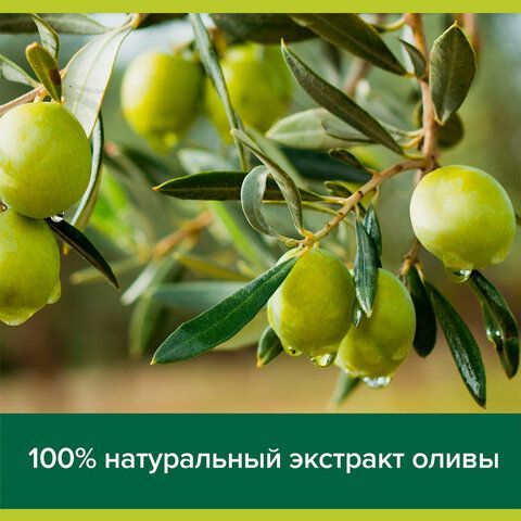 Мыло жидкое 300 мл, PALMOLIVE НАТУРЭЛЬ &quot;Олива и увлажняющее молочко&quot;, дозатор, 1763, 8693495017633